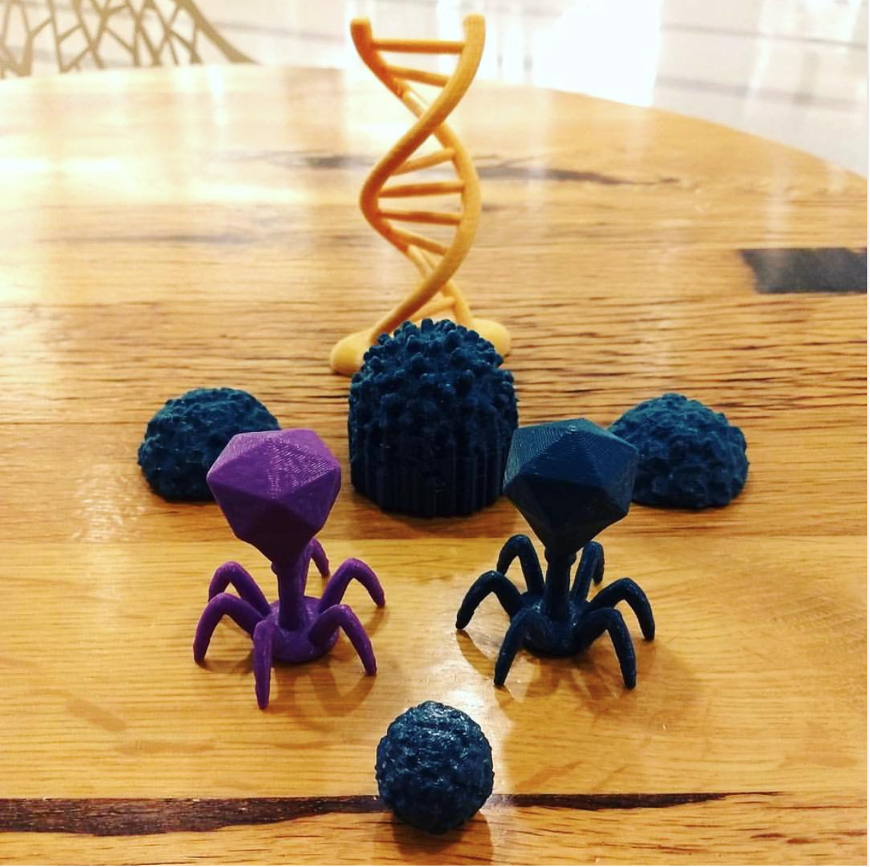 Purple and blue 3D printed viruses, including bacteriophages, are sitting in front of a yellow 3D-printed DNA double helix.